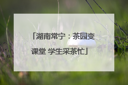 湖南常宁：茶园变课堂 学生采茶忙