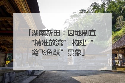 湖南新田：因地制宜“精准放流” 构建“鸢飞鱼跃”景象