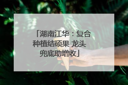 湖南江华：复合种植结硕果 龙头兜底助增收