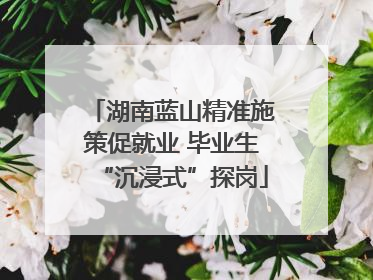 湖南蓝山精准施策促就业 毕业生“沉浸式”探岗