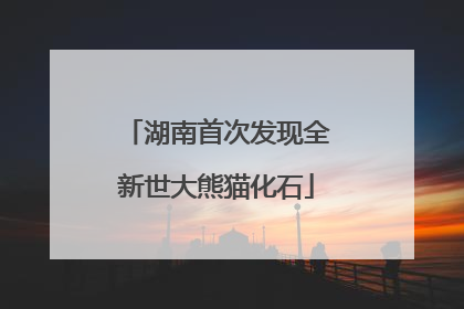湖南首次发现全新世大熊猫化石