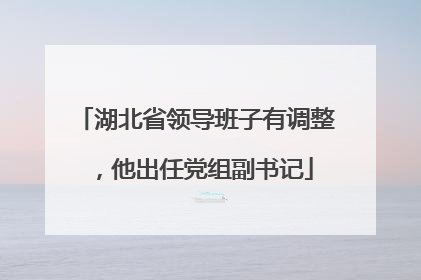 湖北省领导班子有调整，他出任党组副书记