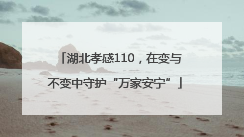 湖北孝感110，在变与不变中守护“万家安宁”