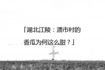 湖北江陵：潘市村的香瓜为何这么甜？