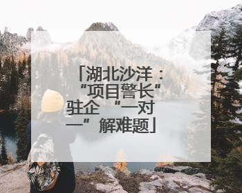 湖北沙洋：“项目警长”驻企 “一对一”解难题