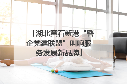湖北黄石新港“警企党建联盟”叫响服务发展新品牌