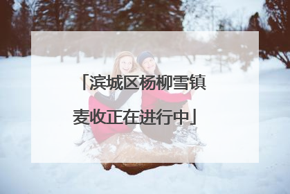 滨城区杨柳雪镇麦收正在进行中
