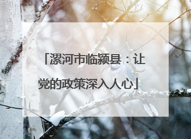 漯河市临颍县：让党的政策深入人心