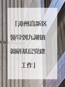 漳州高新区领导到九湖镇调研基层党建工作