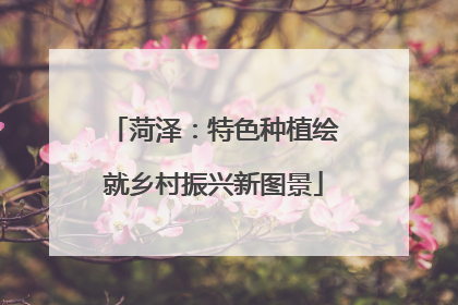 菏泽：特色种植绘就乡村振兴新图景
