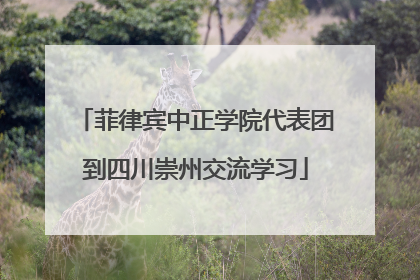 菲律宾中正学院代表团到四川崇州交流学习