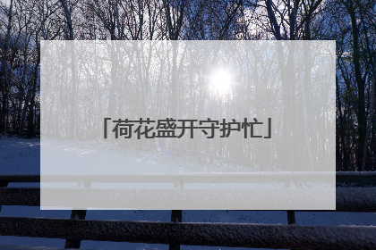 荷花盛开守护忙
