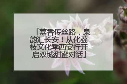 荔香传丝路，泉韵汇长安！从化荔枝文化季西安行开启双城甜蜜对话