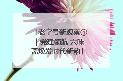 老字号新观察①｜党建领航 六味斋焕发时代新韵