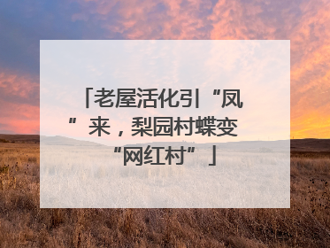 老屋活化引“凤”来，梨园村蝶变“网红村”