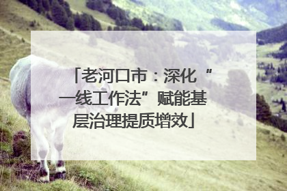 老河口市：深化“一线工作法”赋能基层治理提质增效