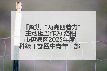 聚焦“两高四着力” 主动担当作为 洛阳市伊滨区2025年度科级干部暨中青年干部培训班开班