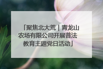 聚焦北大荒｜青龙山农场有限公司开展普法教育主题党日活动
