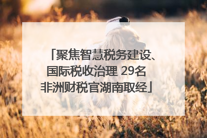 聚焦智慧税务建设、国际税收治理 29名非洲财税官湖南取经