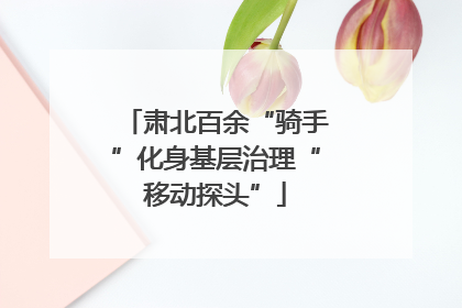 肃北百余“骑手”化身基层治理“移动探头”