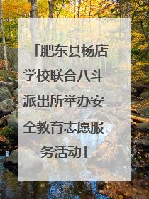 肥东县杨店学校联合八斗派出所举办安全教育志愿服务活动