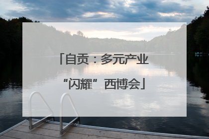 自贡：多元产业“闪耀”西博会