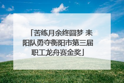 苦练月余终圆梦 耒阳队勇夺衡阳市第三届职工龙舟赛金奖