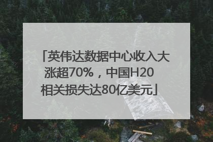 英伟达数据中心收入大涨超70%，中国H20相关损失达80亿美元