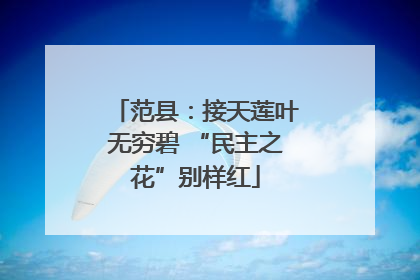 范县：接天莲叶无穷碧 “民主之花”别样红