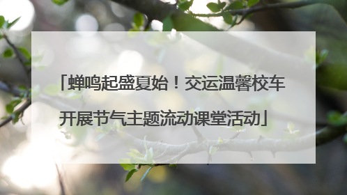 蝉鸣起盛夏始！交运温馨校车开展节气主题流动课堂活动