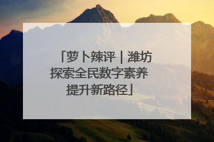 萝卜辣评｜潍坊探索全民数字素养提升新路径