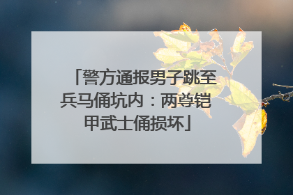 警方通报男子跳至兵马俑坑内：两尊铠甲武士俑损坏