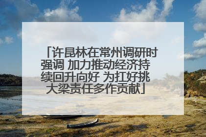 许昆林在常州调研时强调 加力推动经济持续回升向好 为扛好挑大梁责任多作贡献