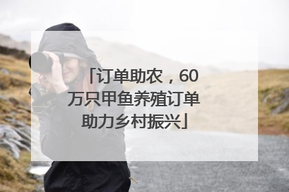 订单助农，60万只甲鱼养殖订单助力乡村振兴
