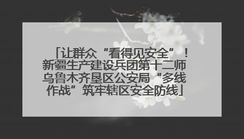 让群众“看得见安全”！新疆生产建设兵团第十二师乌鲁木齐垦区公安局“多线作战”筑牢辖区安全防线