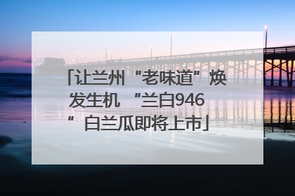 让兰州“老味道”焕发生机 “兰白946”白兰瓜即将上市