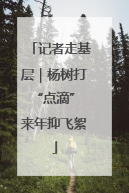 记者走基层｜杨树打“点滴” 来年抑飞絮