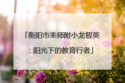 衡阳市耒师附小龙智英：阳光下的教育行者