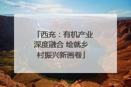 西充：有机产业深度融合 绘就乡村振兴新画卷