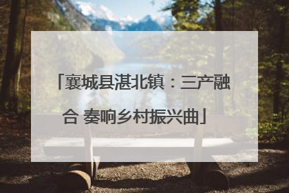襄城县湛北镇：三产融合 奏响乡村振兴曲