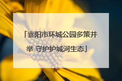 襄阳市环城公园多策并举 守护护城河生态