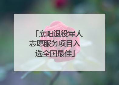 襄阳退役军人志愿服务项目入选全国最佳