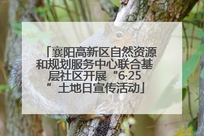 襄阳高新区自然资源和规划服务中心联合基层社区开展“6·25”土地日宣传活动