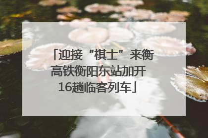 迎接“棋士”来衡 高铁衡阳东站加开16趟临客列车