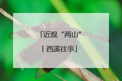 近观“两山”丨西溪往事