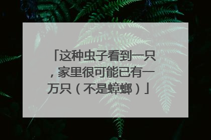 这种虫子看到一只，家里很可能已有一万只（不是蟑螂）