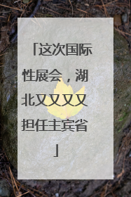 这次国际性展会，湖北又又又又担任主宾省