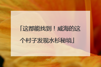 这都能找到！威海的这个村子发现水杉秘境