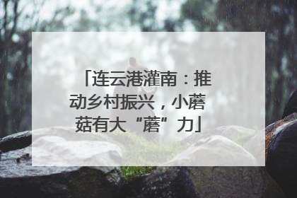 连云港灌南：推动乡村振兴，小蘑菇有大“蘑”力