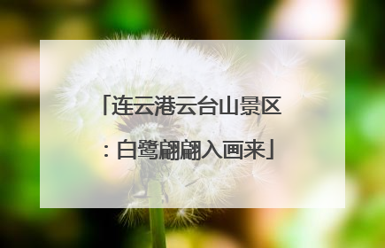 连云港云台山景区：白鹭翩翩入画来